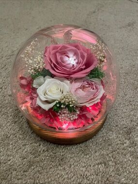 Real Preserved Pink & White Rose Dome Floral Accent